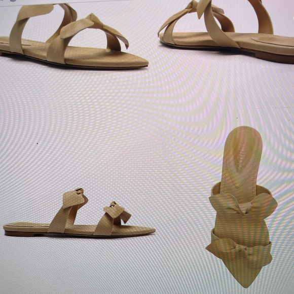 NEVER WORN* SCHUTZ - Elora Slide Sandal - Picture 1 of 2